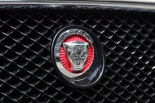 車標(biāo)上的動(dòng)物都是啥來頭？看完又能出去裝X了