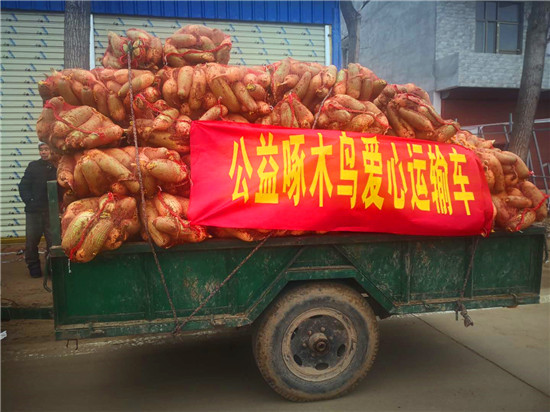 ＂愛心蘿卜＂來了！