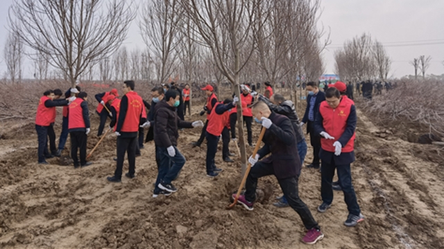 栽下樹苗，留下新綠